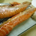kaisen20110205-3.JPG