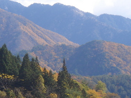 landscape#1