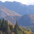 landscape#1
