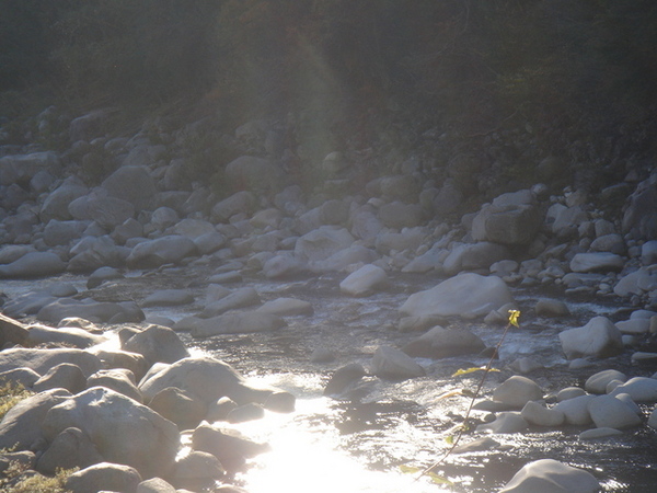 light#3