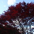 red and blue