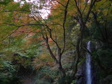 養老公園にて#1 を拡大