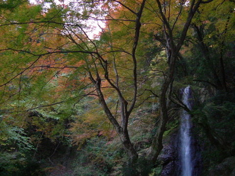 養老公園にて#1