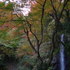 養老公園にて#1