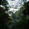 yourou20110211-2.JPG