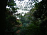 養老公園にて#2 を拡大