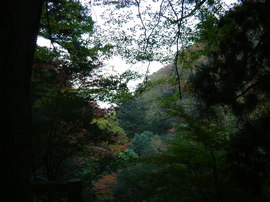 養老公園にて#2