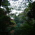 養老公園にて#2