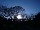 daylight を拡大