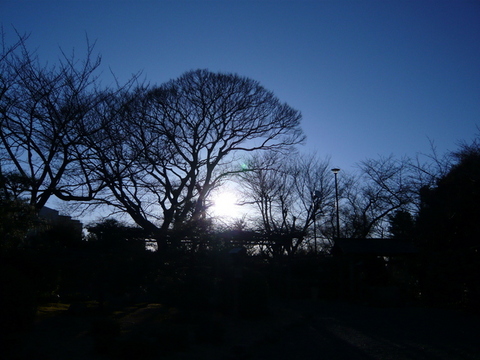 daylight