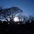 daylight