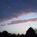 NEC_0172.JPG