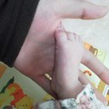 NEC_0204.JPG