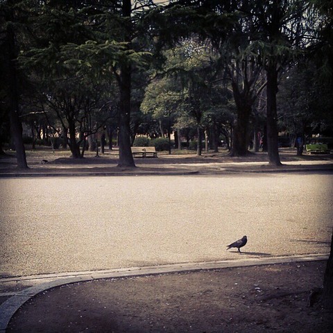 alone