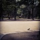alone を拡大