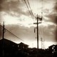 sepia を拡大