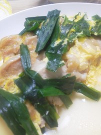 chicken
