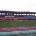 NEC_1088.JPG