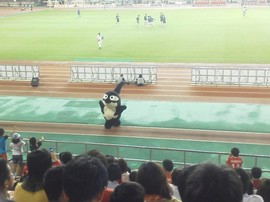 grampus kun
