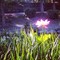 4bdf0c2adc8911e1a9d522000a1e8a7c_7.jpg