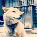 wait を拡大