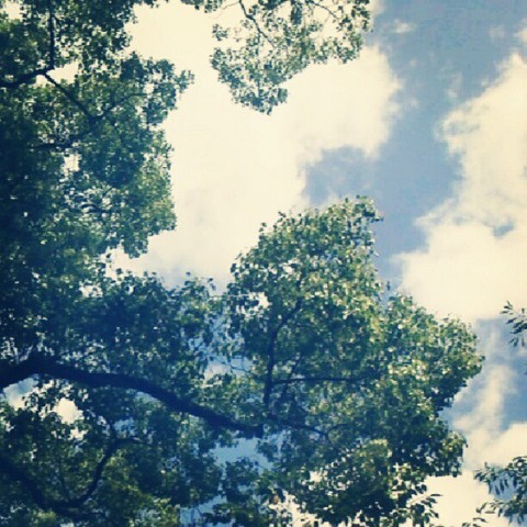 green&blue
