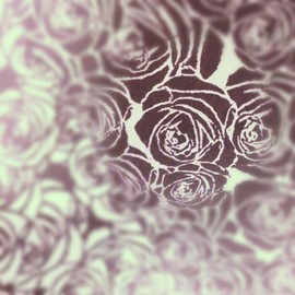 rose print
