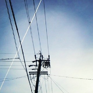 black and white line を拡大