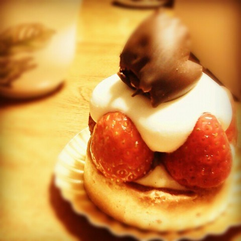 sweet dolce
