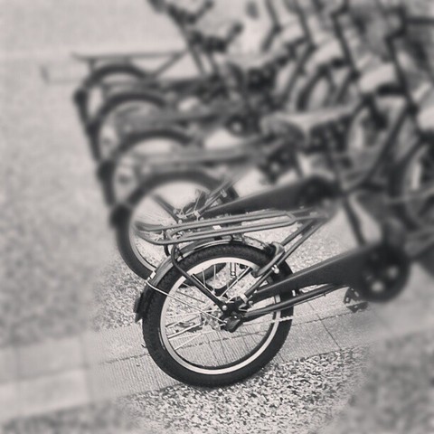 cycleclecle...
