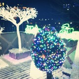 illumination を拡大